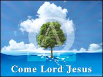 Come Lord Jesus